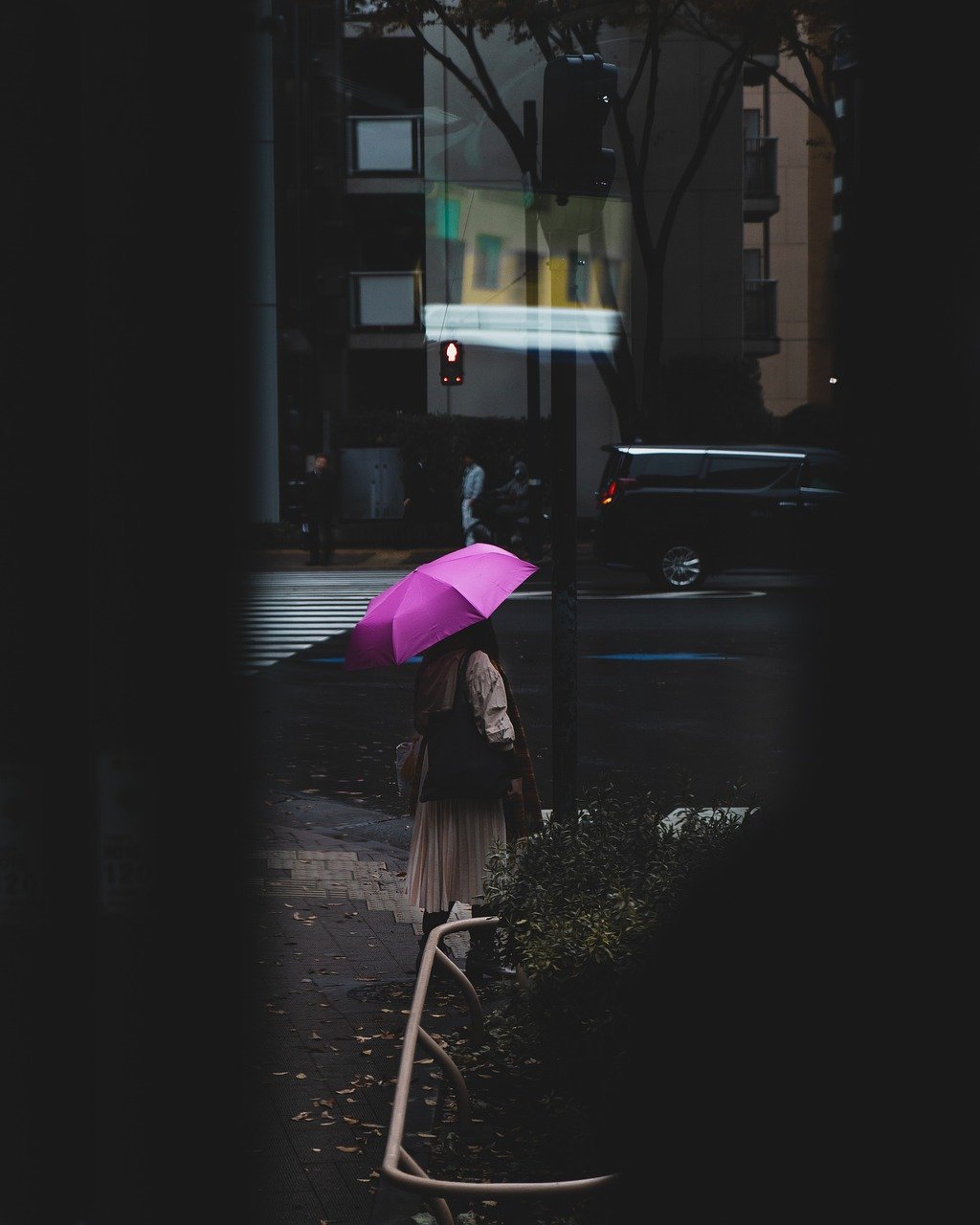 woman, umbrella, street